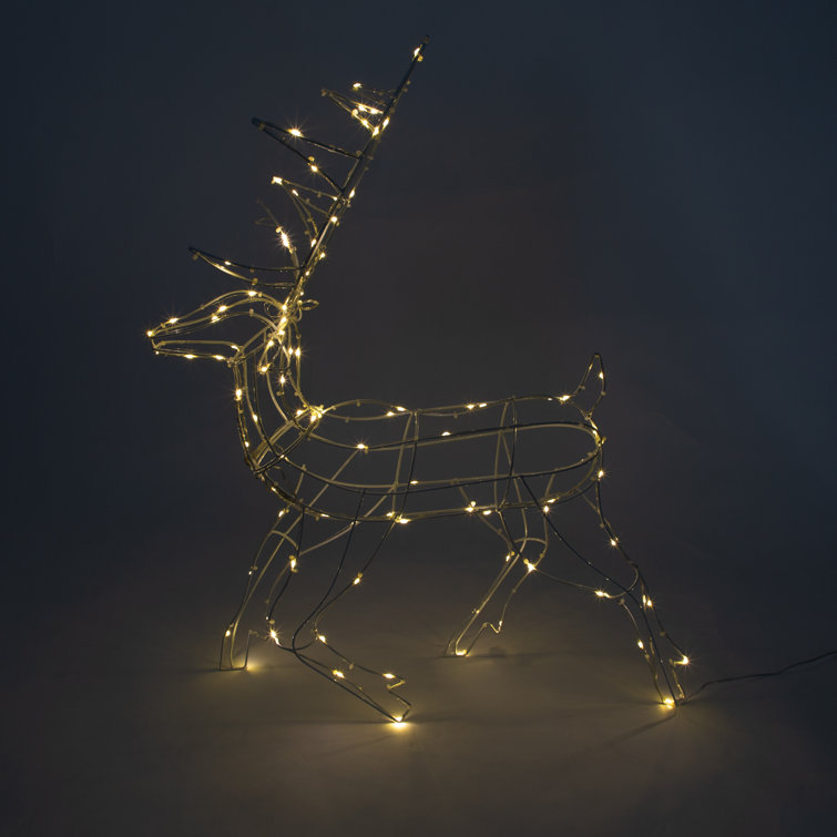 Christmas Prancing Reindeer Lighted Display Wayfair.co.uk